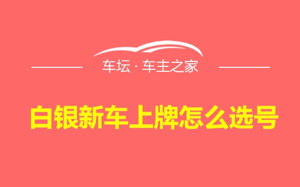 白银新车上牌怎么选号