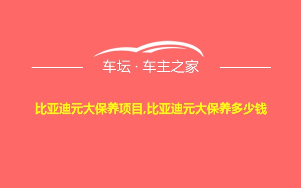 比亚迪元大保养项目,比亚迪元大保养多少钱