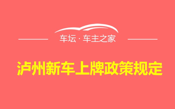 泸州新车上牌政策规定