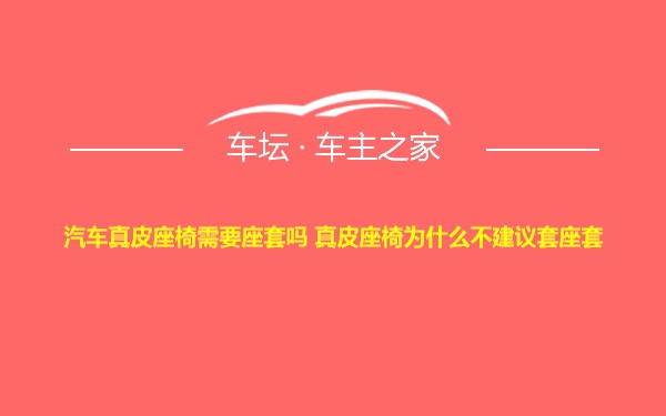 汽车真皮座椅需要座套吗 真皮座椅为什么不建议套座套