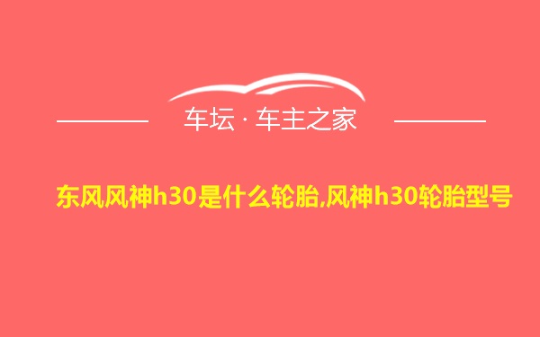 东风风神h30是什么轮胎,风神h30轮胎型号