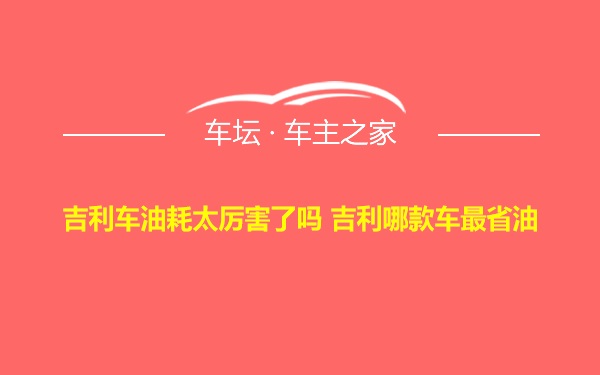 吉利车油耗太厉害了吗 吉利哪款车最省油