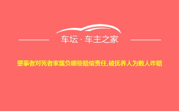 肇事者对死者家属负哪些赔偿责任,被抚养人为数人咋赔