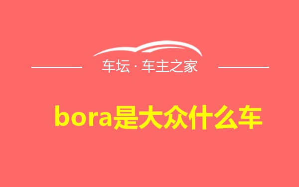 bora是大众什么车