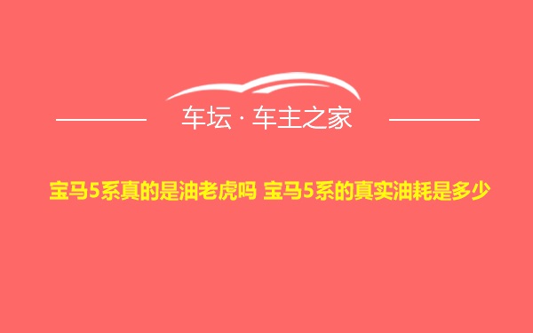 宝马5系真的是油老虎吗 宝马5系的真实油耗是多少