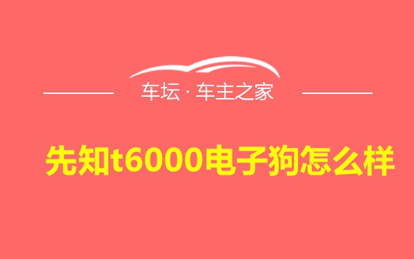 先知t6000电子狗怎么样