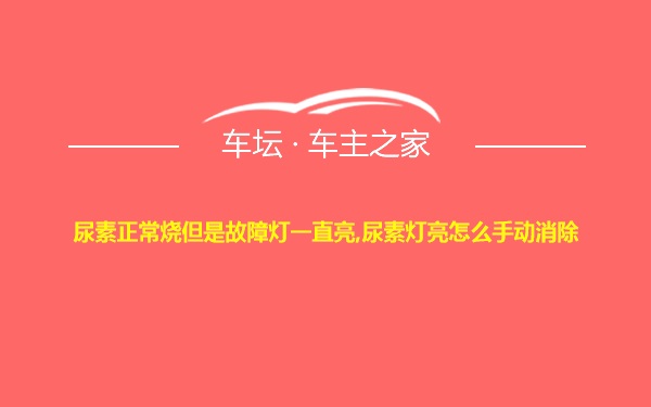 尿素正常烧但是故障灯一直亮,尿素灯亮怎么手动消除