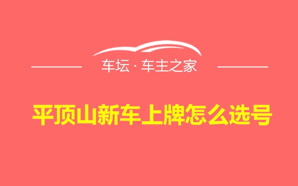 平顶山新车上牌怎么选号