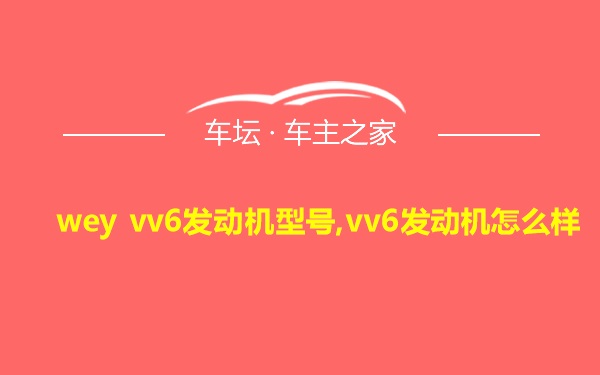 wey vv6发动机型号,vv6发动机怎么样