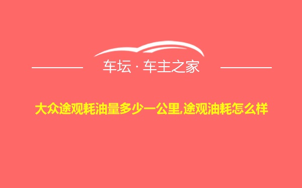 大众途观耗油量多少一公里,途观油耗怎么样