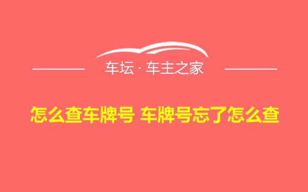 怎么查车牌号 车牌号忘了怎么查