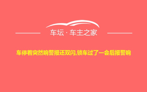 车停着突然响警报还双闪,锁车过了一会后报警响