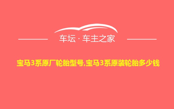 宝马3系原厂轮胎型号,宝马3系原装轮胎多少钱