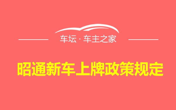 昭通新车上牌政策规定