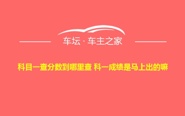 科目一查分数到哪里查 科一成绩是马上出的嘛