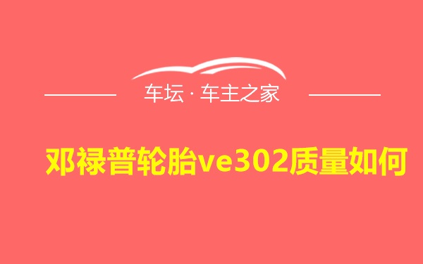 邓禄普轮胎ve302质量如何