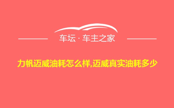 力帆迈威油耗怎么样,迈威真实油耗多少