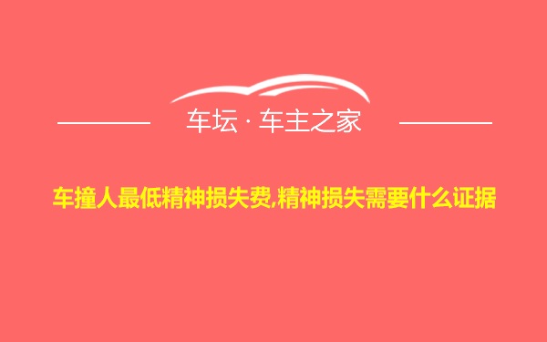 车撞人最低精神损失费,精神损失需要什么证据