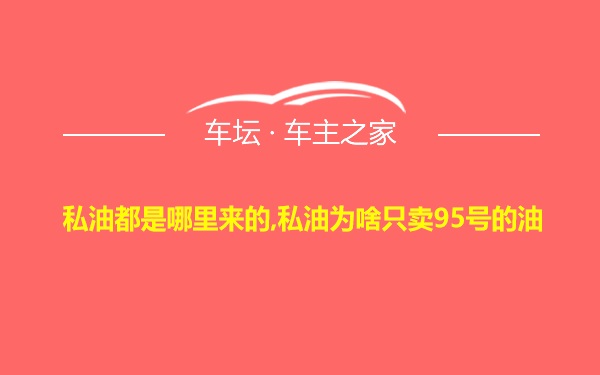 私油都是哪里来的,私油为啥只卖95号的油