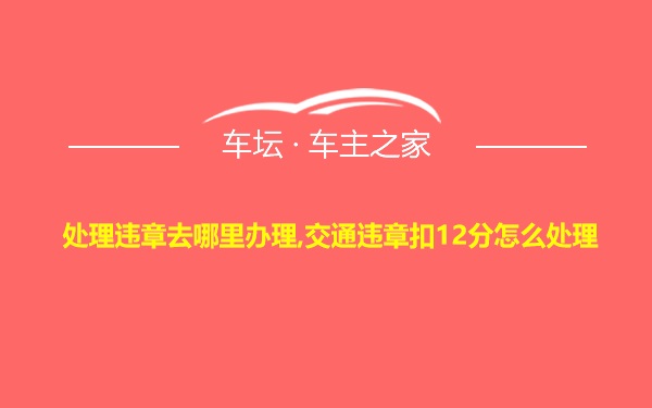 处理违章去哪里办理,交通违章扣12分怎么处理