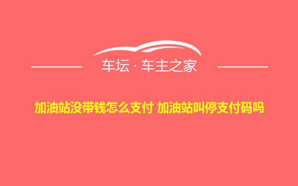 加油站没带钱怎么支付 加油站叫停支付码吗