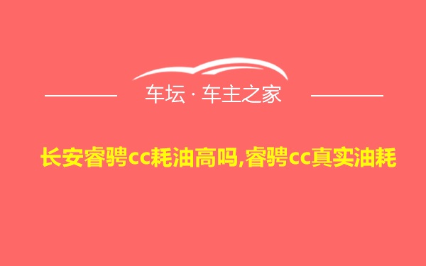 长安睿骋cc耗油高吗,睿骋cc真实油耗