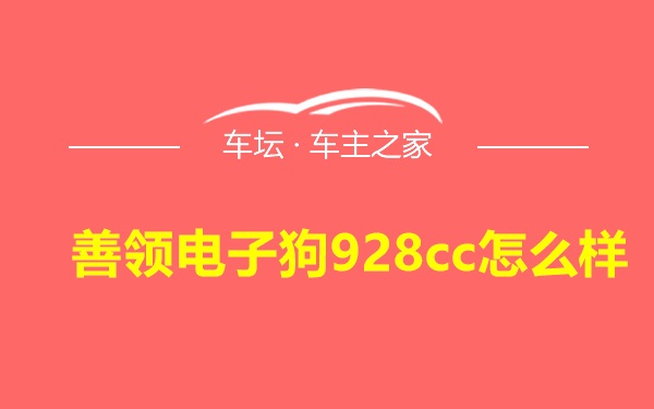 善领电子狗928cc怎么样