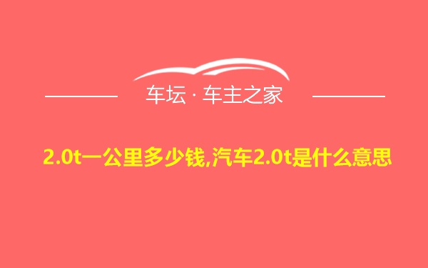 2.0t一公里多少钱,汽车2.0t是什么意思