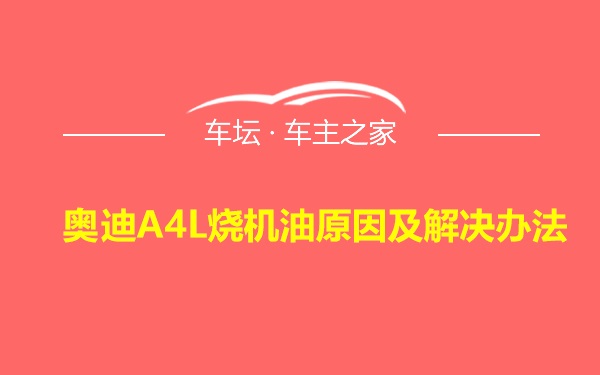 奥迪A4L烧机油原因及解决办法