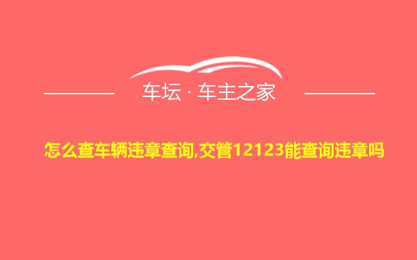 怎么查车辆违章查询,交管12123能查询违章吗