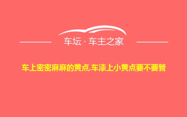 车上密密麻麻的黄点,车漆上小黄点要不要管