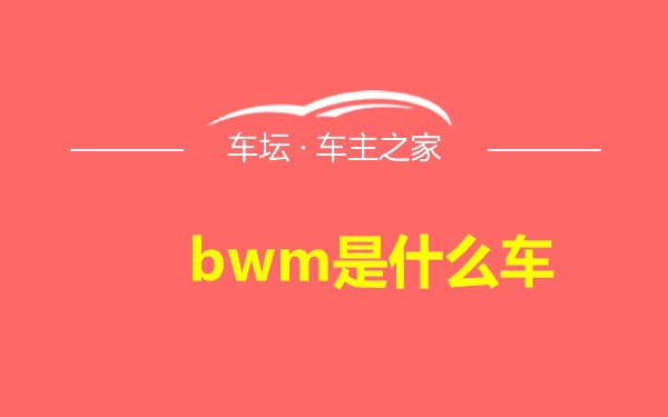 bwm是什么车