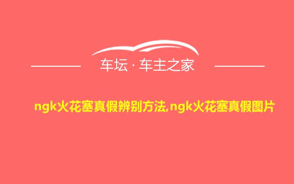 ngk火花塞真假辨别方法,ngk火花塞真假图片