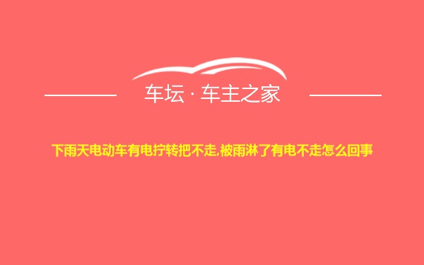 下雨天电动车有电拧转把不走,被雨淋了有电不走怎么回事