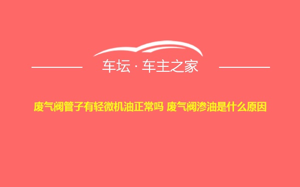 废气阀管子有轻微机油正常吗 废气阀渗油是什么原因