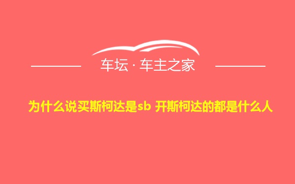 为什么说买斯柯达是sb 开斯柯达的都是什么人