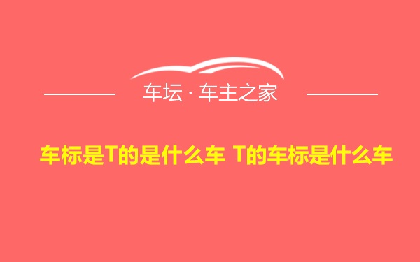 车标是T的是什么车 T的车标是什么车