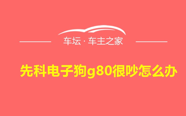 先科电子狗g80很吵怎么办