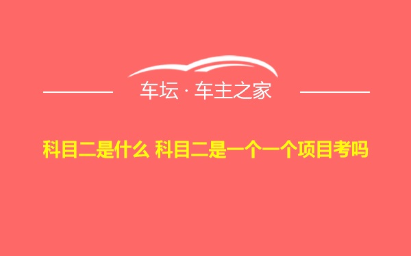 科目二是什么 科目二是一个一个项目考吗