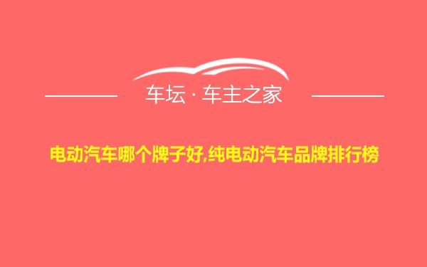 电动汽车哪个牌子好,纯电动汽车品牌排行榜