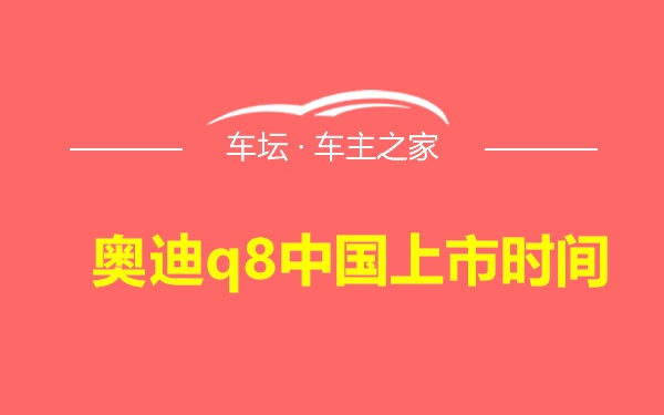 奥迪q8中国上市时间