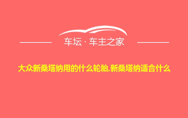 大众新桑塔纳用的什么轮胎,新桑塔纳适合什么