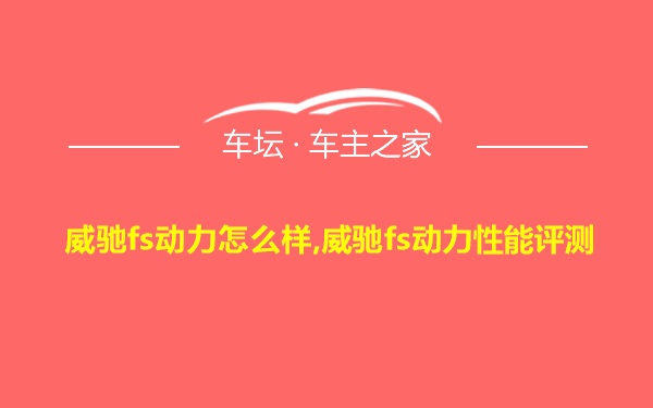 威驰fs动力怎么样,威驰fs动力性能评测