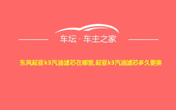 东风起亚k3汽油滤芯在哪里,起亚k3汽油滤芯多久更换