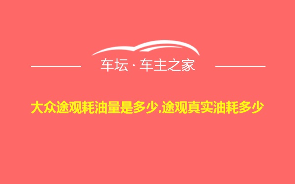 大众途观耗油量是多少,途观真实油耗多少