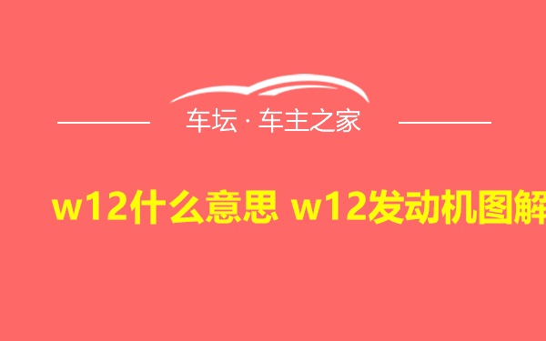 w12什么意思 w12发动机图解