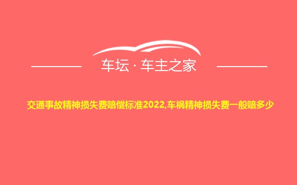 交通事故精神损失费赔偿标准2022,车祸精神损失费一般赔多少