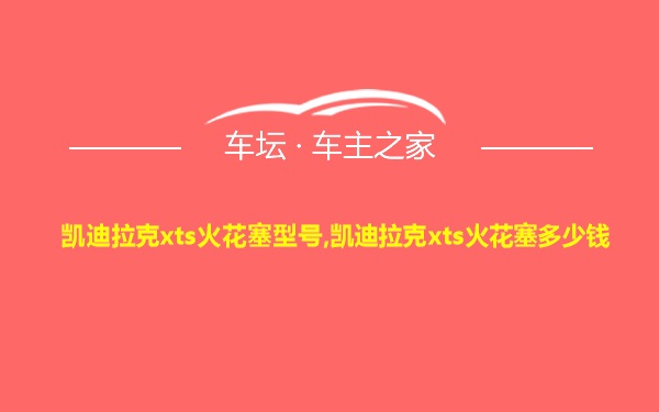凯迪拉克xts火花塞型号,凯迪拉克xts火花塞多少钱