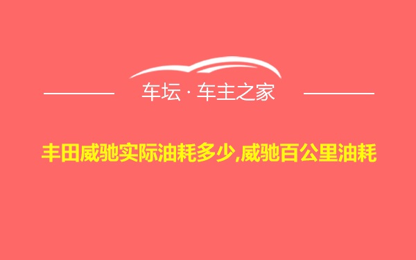 丰田威驰实际油耗多少,威驰百公里油耗