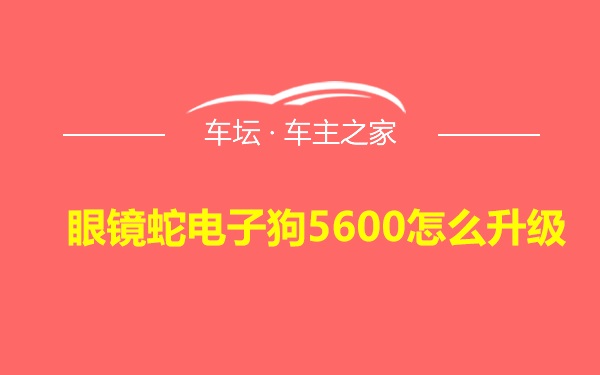 眼镜蛇电子狗5600怎么升级